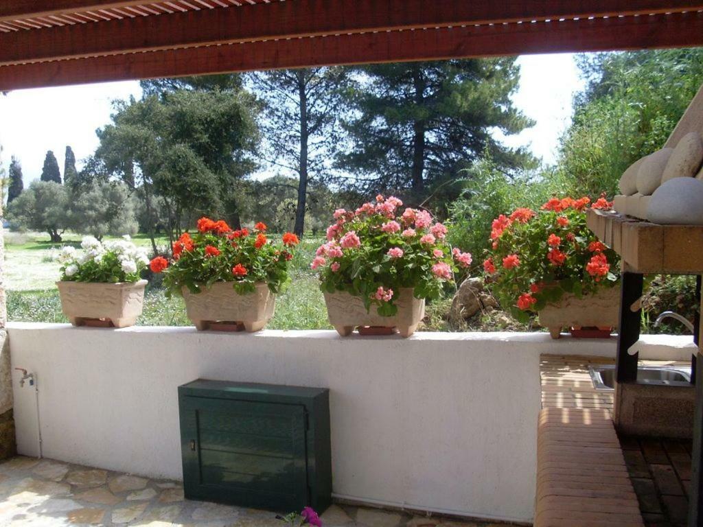 Villa Amelia Metaxáta Exterior foto